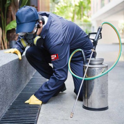 Pest Control Services in Thane, Thane, Navi Mumbai, Palghar